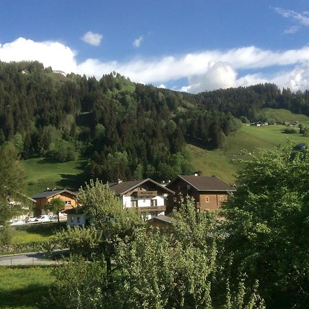 Kitzbuheler Alpen Penthouse Hollersbach Lejlighed Hollersbach im Pinzgau Eksteriør billede