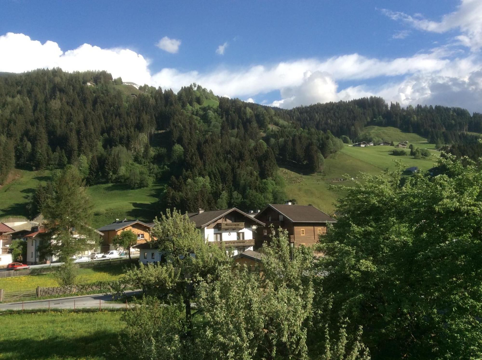 Kitzbuheler Alpen Penthouse Hollersbach Lejlighed Hollersbach im Pinzgau Eksteriør billede
